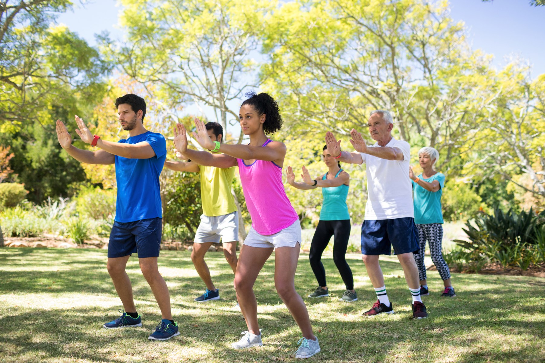 People moving and stretching together in a sunlit park